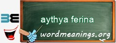 WordMeaning blackboard for aythya ferina